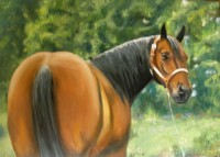 /album/fotogaleria/kon-17-10-2014-oprava-jpg/